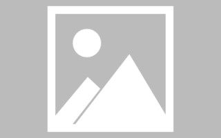 长葛优秀动态网页设计模板（动态网页设计教程）